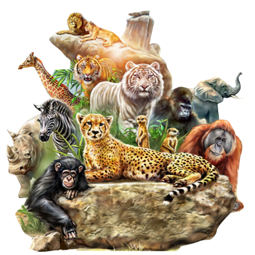 animales